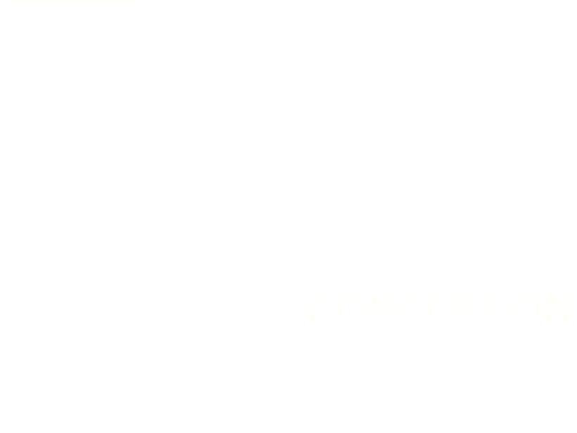 CUBEconception